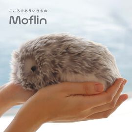 FELISSIMO PARTNERS | ＡＩペット　こころであういきものＭｏｆｌｉｎ
