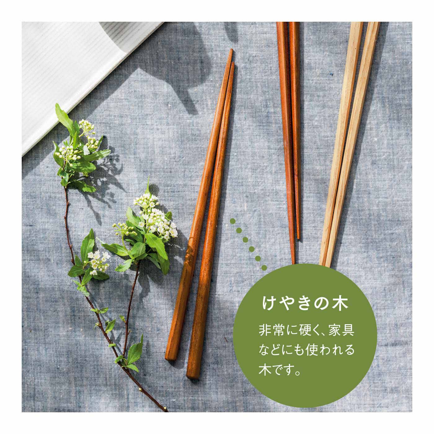 FELISSIMO PARTNERS|形と素材でくらべてみたい けやきと栗の木のおはしの会（3回予約）