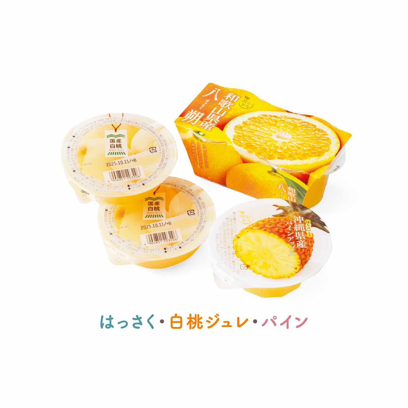 FELISSIMO PARTNERS|国産の恵みたっぷり 口あたりも自慢のフルーツゼリーの会（5回予約）
