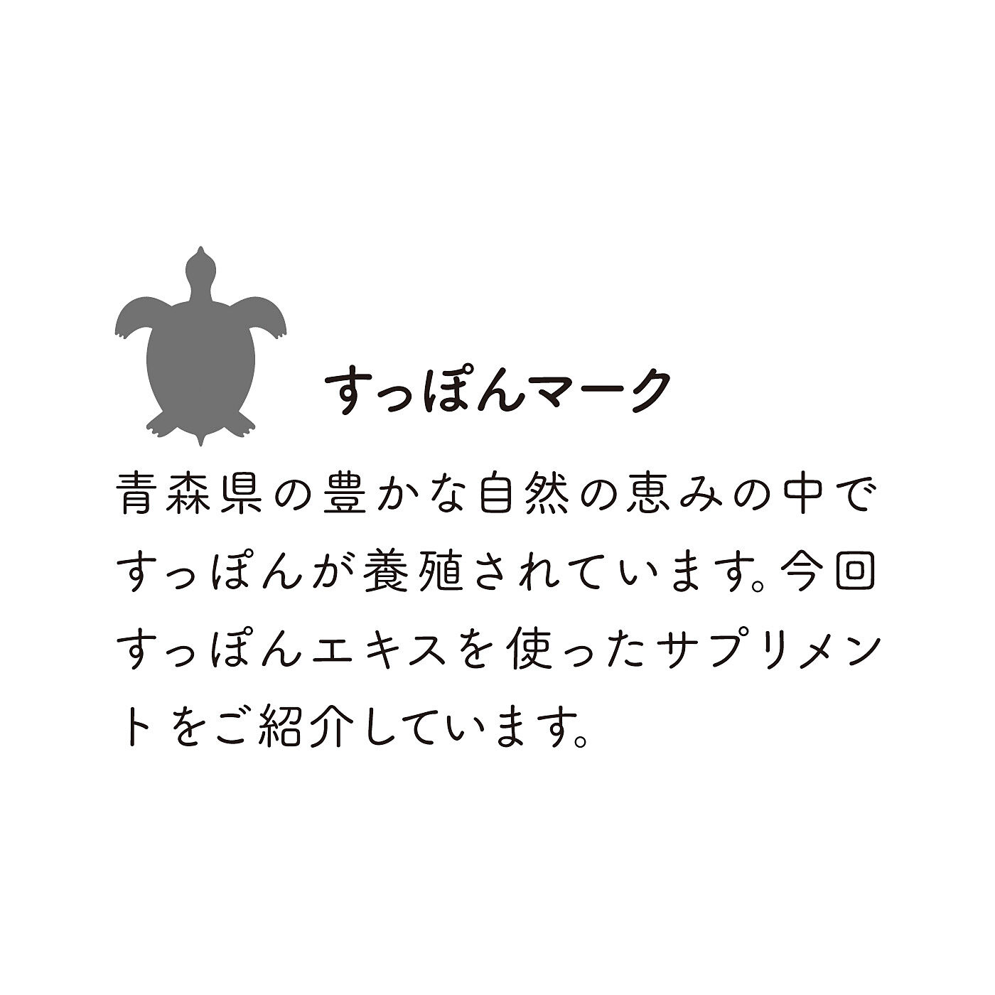 FELISSIMO PARTNERS|モール温泉育ちの温泉すっぽんアミノPGの会