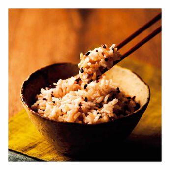 FELISSIMO PARTNERS | パックご飯　お米屋さんのこだわりご飯６個セット