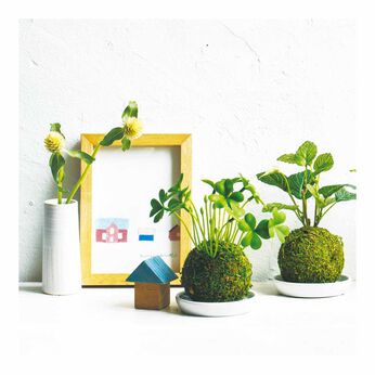 FELISSIMO PARTNERS | 和モダン　苔玉風消臭アーティフィシャルグリーン