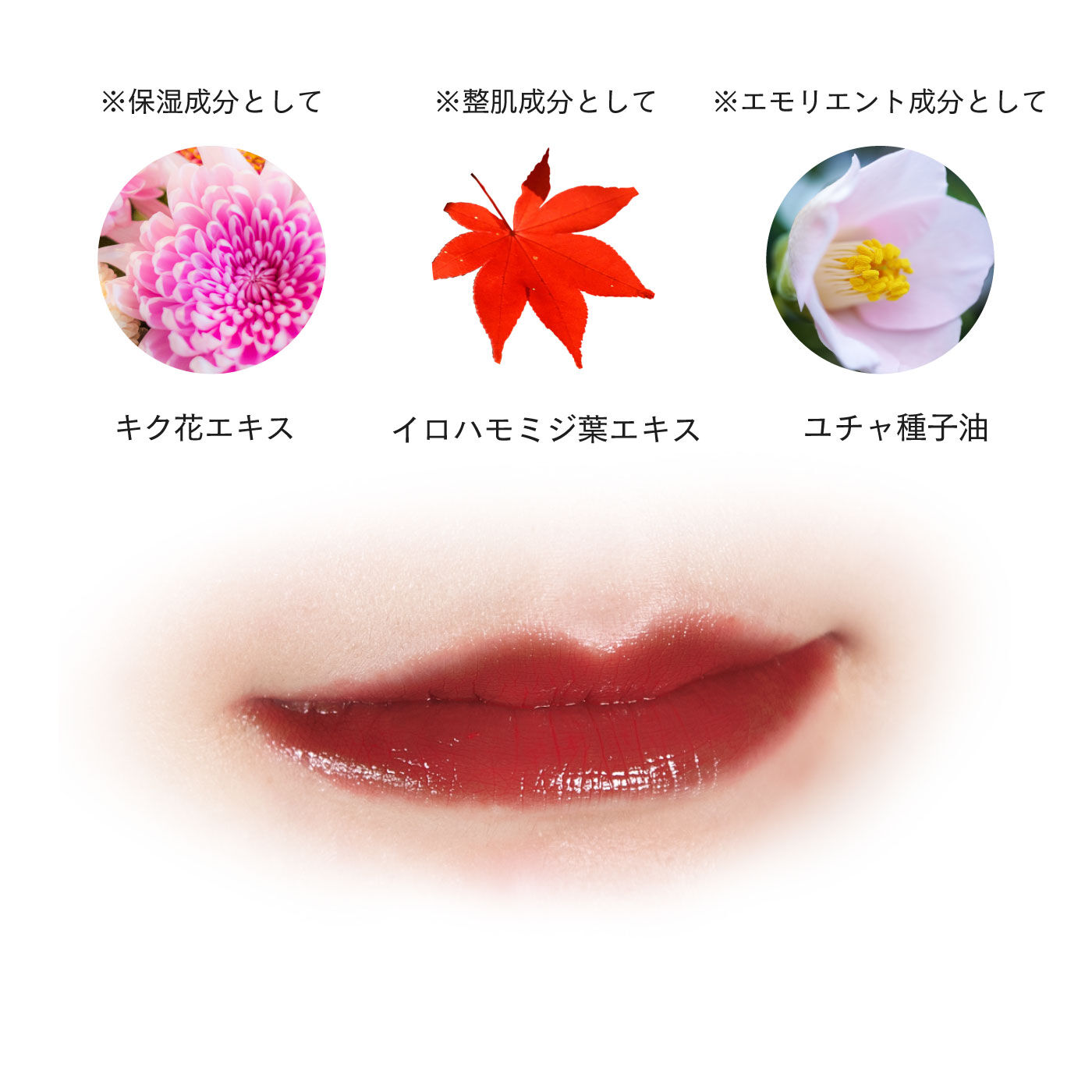 FELISSIMO PARTNERS|上羽絵惣　京の絵具屋の口紅　京花舞口紅|※画像はイメージです。