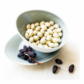 FELISSIMO PARTNERS | 乳酸菌ヨーグルトレーズン栄養機能食品　鉄