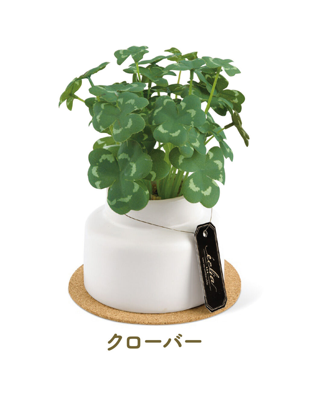 FELISSIMO PARTNERS|水やり不要 インテリアにちょうどいい 消臭グリーナリーライフの会（3回予約）|幅約14cm、高さ約17.5cm