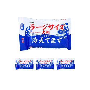 FELISSIMO PARTNERS | 大判クールタオル 冷えてます〈40×30ｃｍ〉12枚入り×4個セット