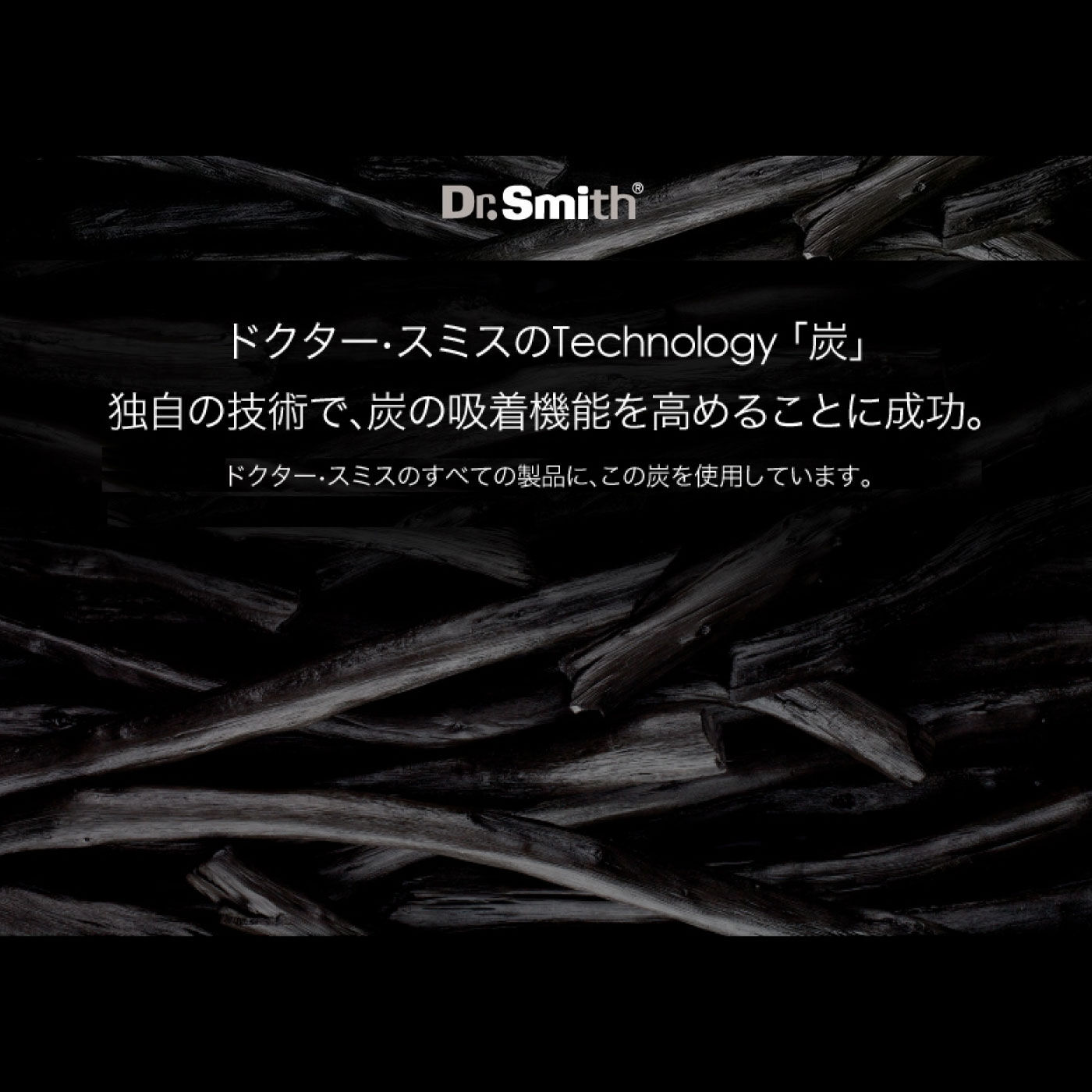 FELISSIMO PARTNERS|さわやかな朝のめざめ　Dr．Smith　炭わた入り枕（小）