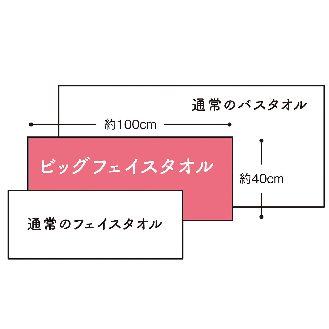 FELISSIMO PARTNERS|「#バスタオルやめました」　洗濯も収納もぐんとらくになる　ビッグフェイスタオル２色セットの会（6回予約）