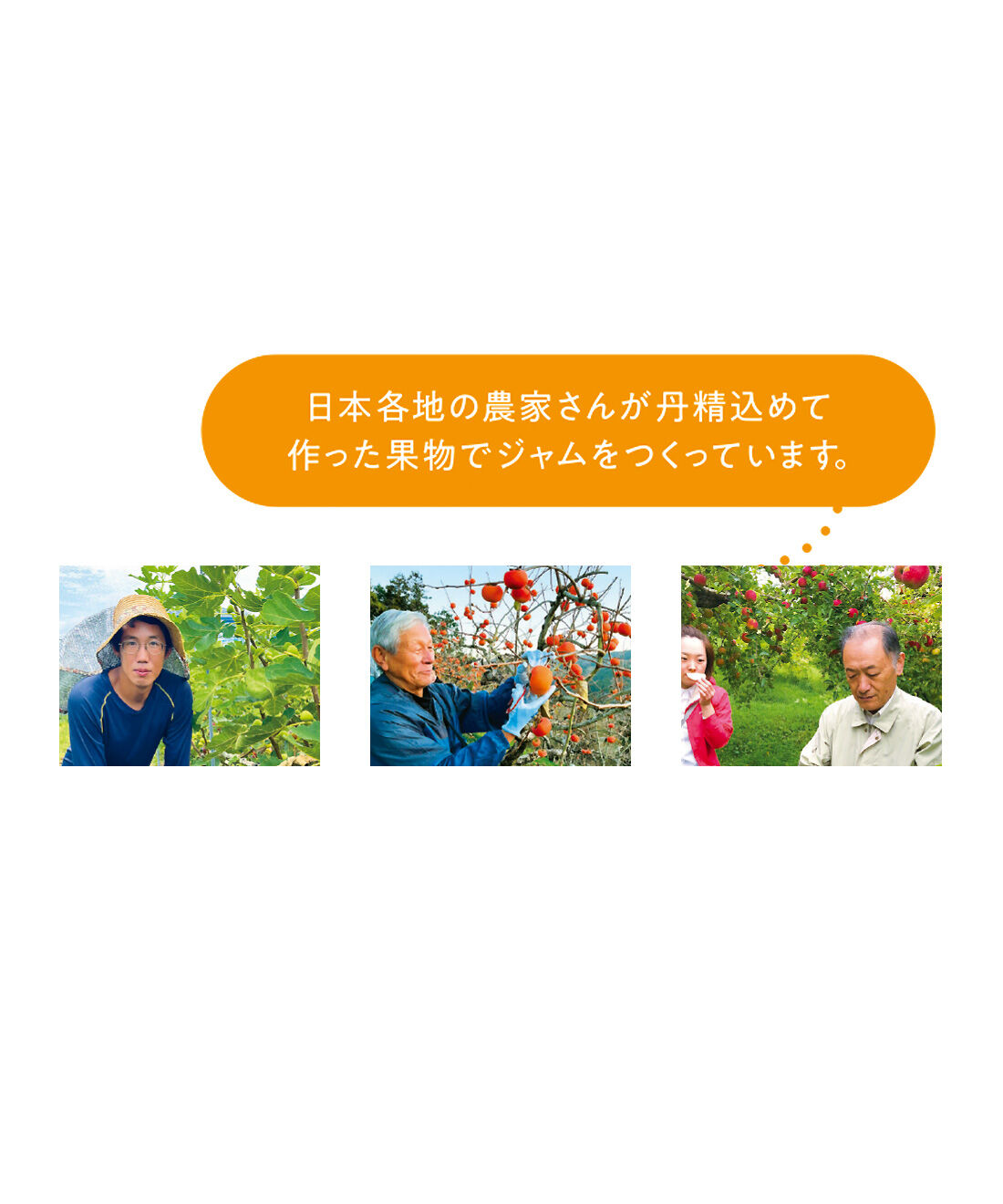 FELISSIMO PARTNERS|美味しい果物が採れたから「メルカートピッコロ」毎月ジャムフェスタの会（12回予約）