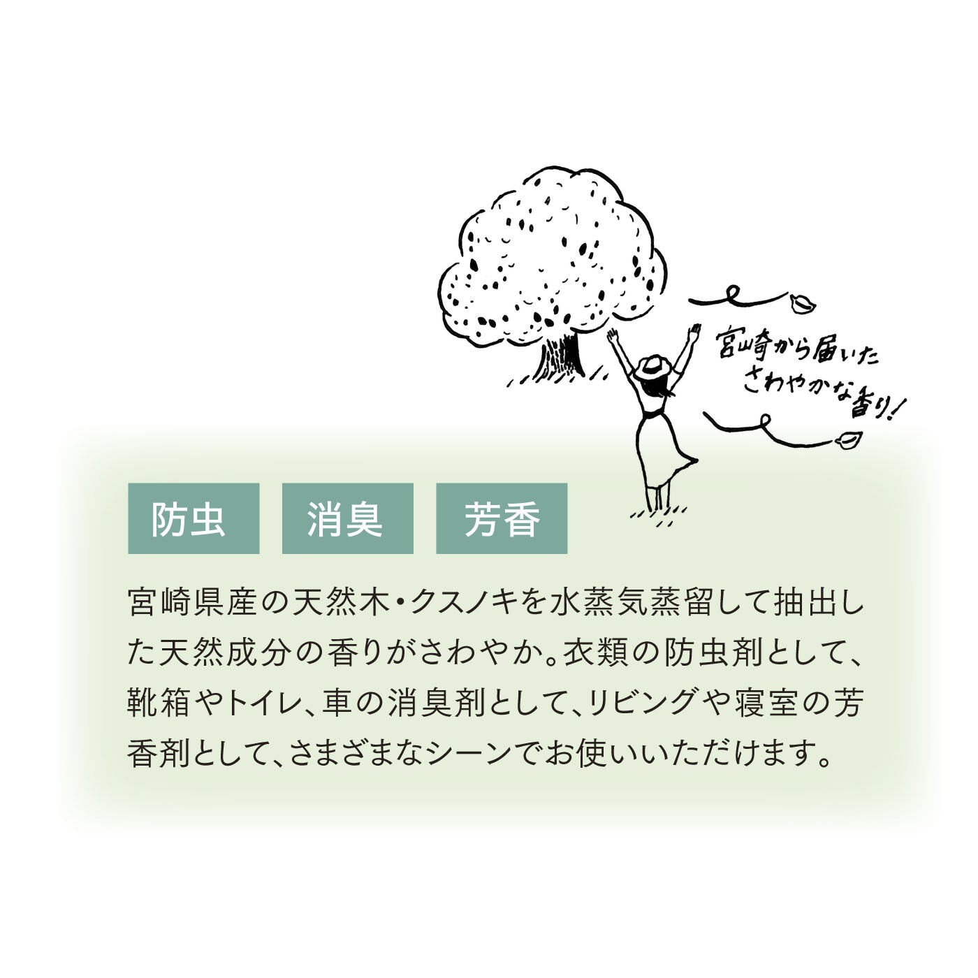 お部屋さわやか！ クスノキ アロマオイル（30ｍｌ）｜消臭・除湿グッズ