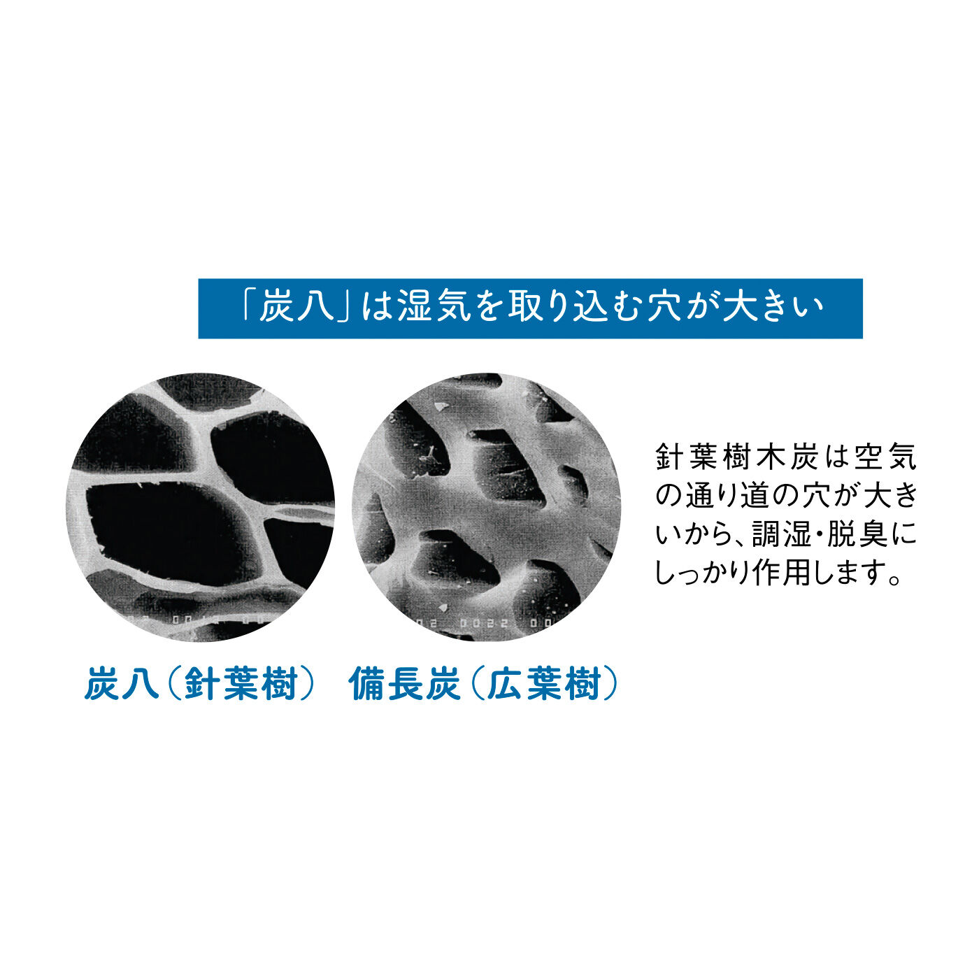 FELISSIMO PARTNERS|暮らしの湿害を緩和 においにも効く調湿木炭「炭八」室内用大袋の会（6回予約）