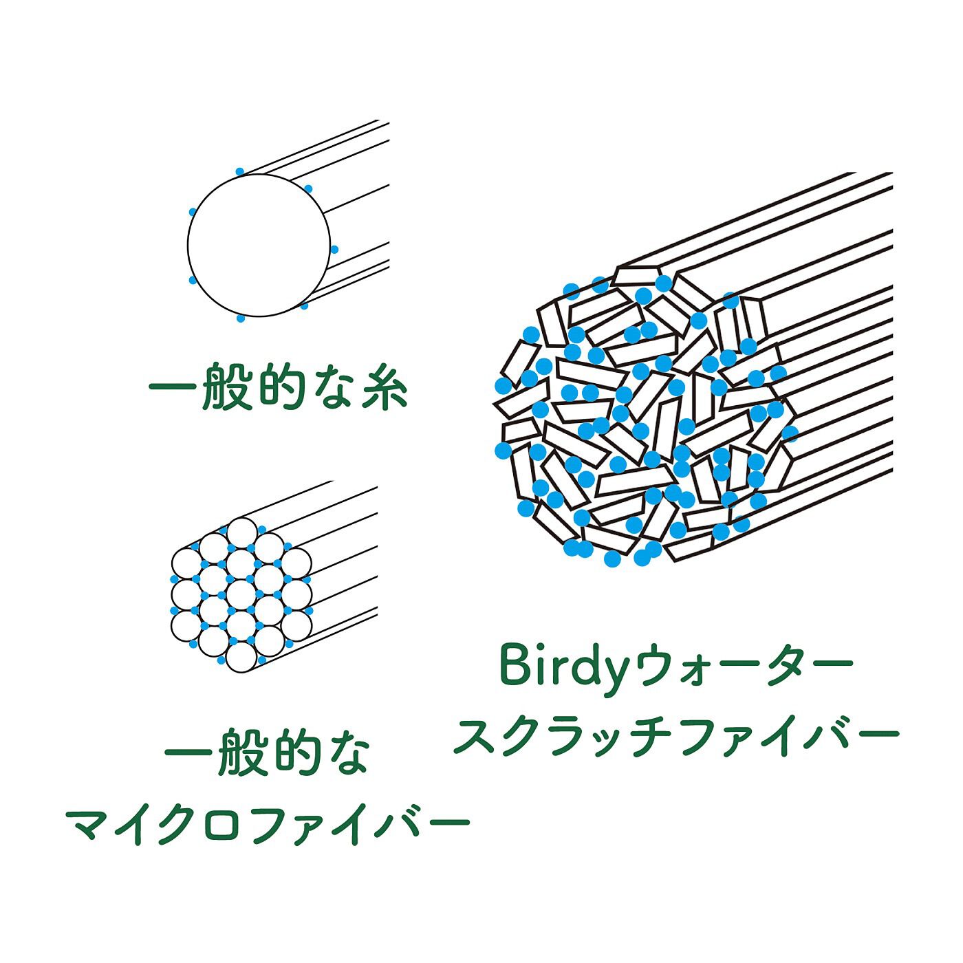 FELISSIMO PARTNERS|食器をふくのが楽しくなる BIRDYキッチンタオルS