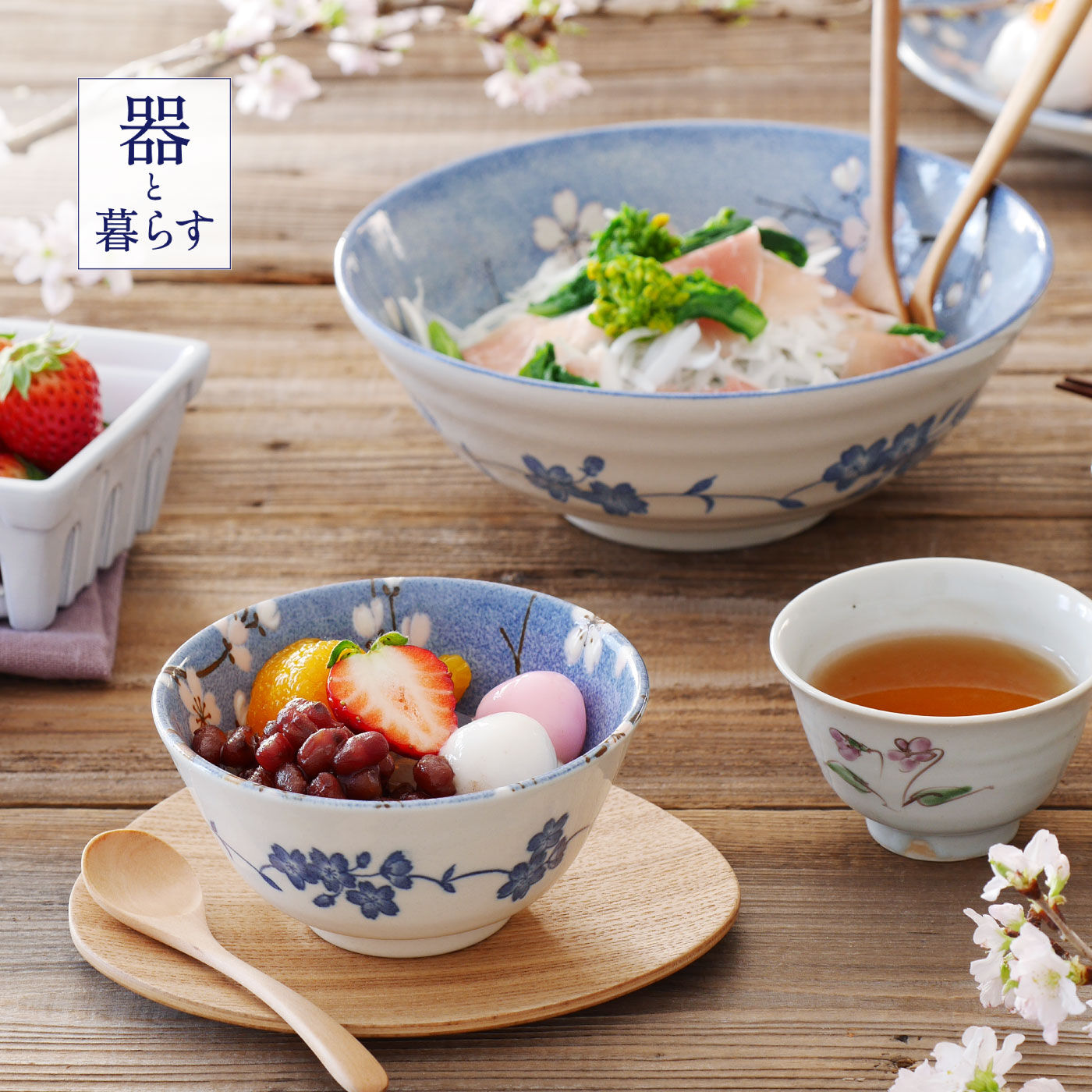 FELISSIMO PARTNERS|青空いっぱいに富士桜の器　麺鉢と茶碗のセット