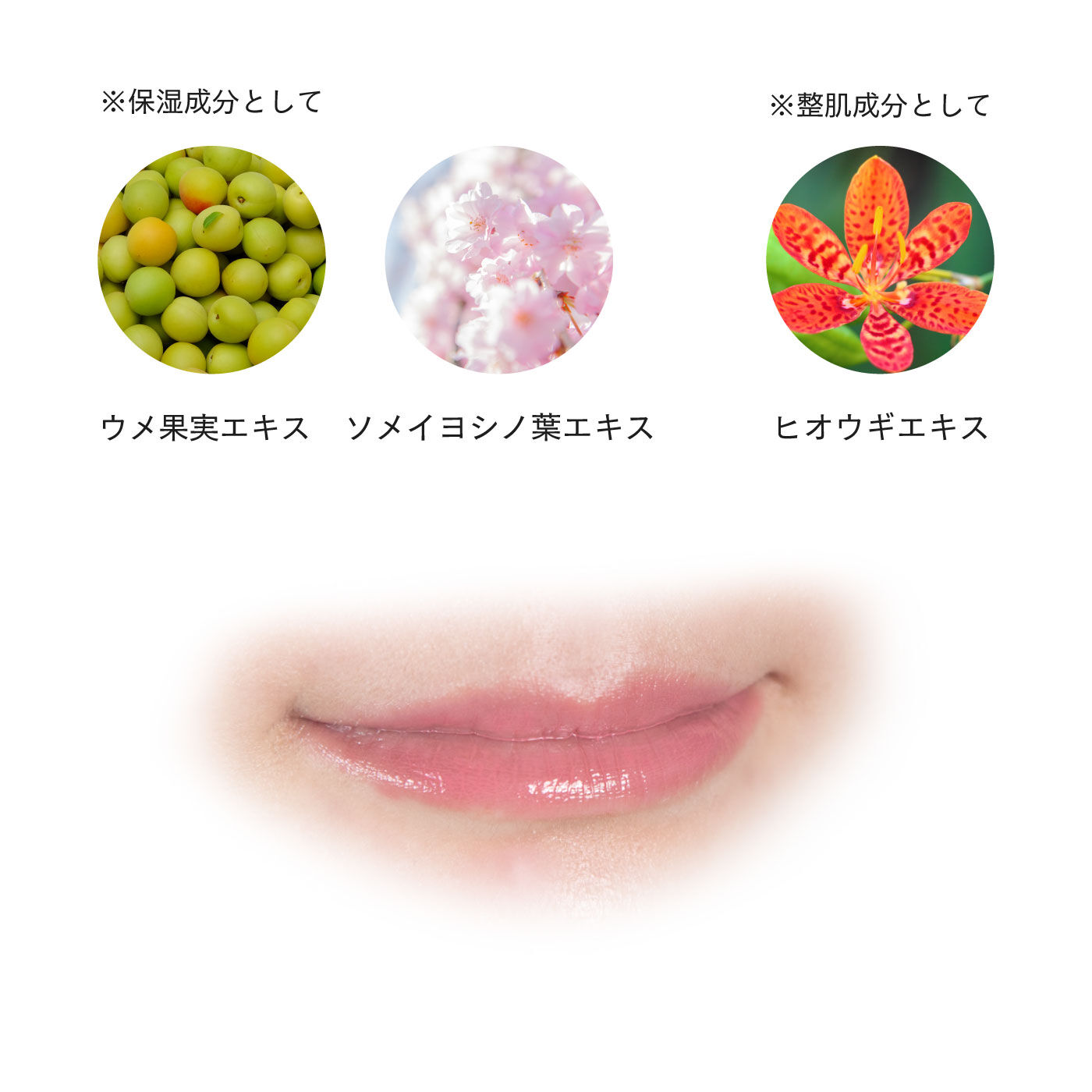 FELISSIMO PARTNERS|上羽絵惣　京の絵具屋の口紅　京花舞口紅|※画像はイメージです。