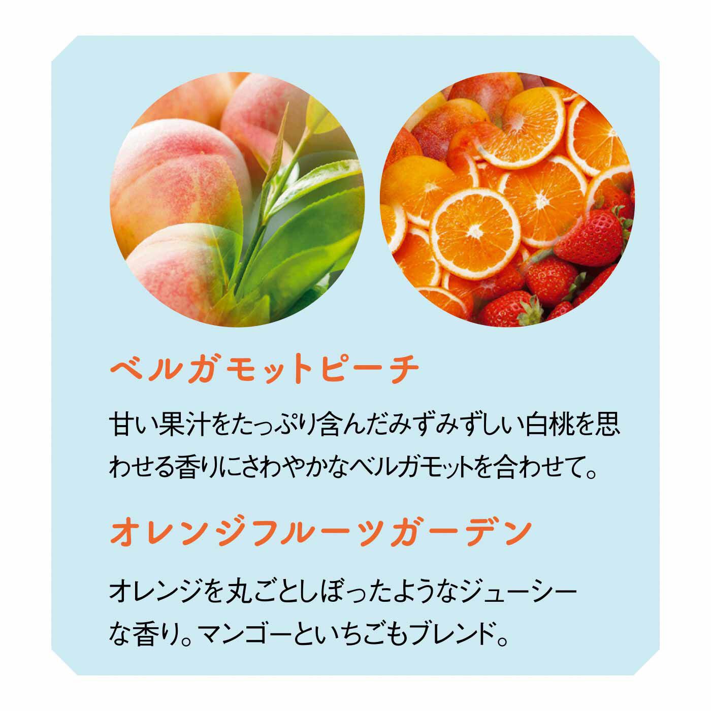 FELISSIMO PARTNERS|アムシュティー ティーブレンダー厳選 水出しで楽しむフレーバーティーの会（6回予約）