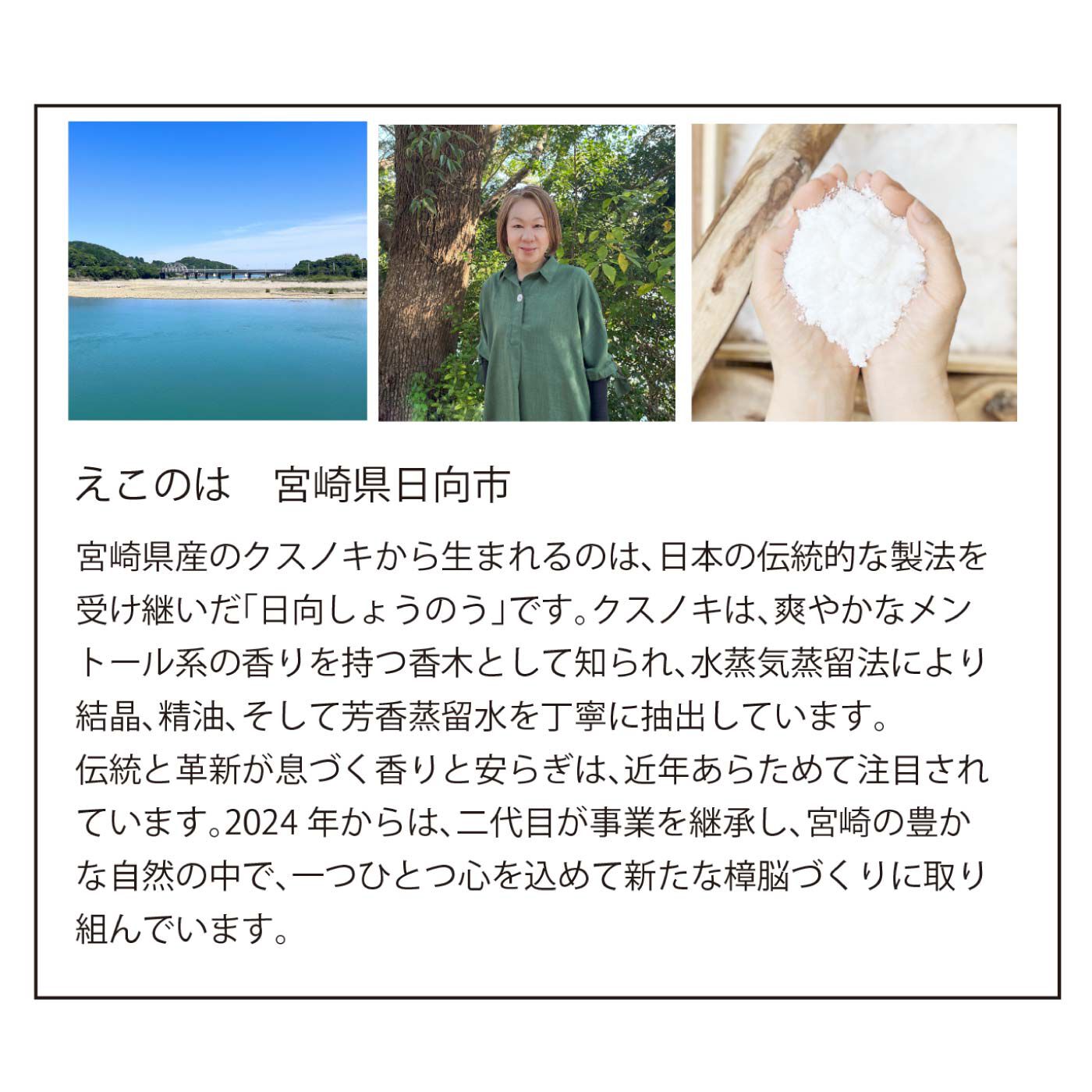 FELISSIMO PARTNERS|消臭＆吸湿でお部屋さわやか！　クスノキ　デオドラント　シューズキーパーの会