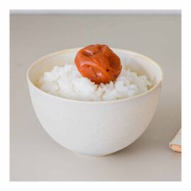 FELISSIMO PARTNERS | 農家の梅ＵＭＥＢＯＳＨＩウマ塩４