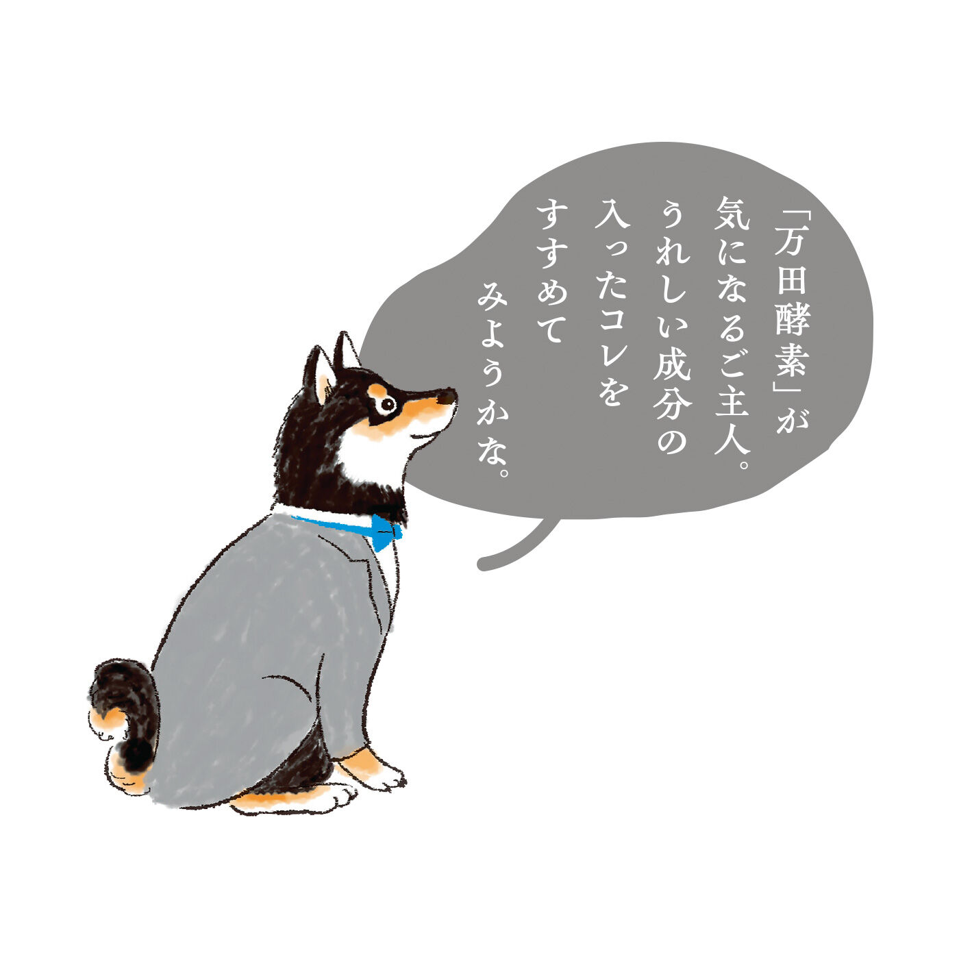 FELISSIMO PARTNERS|発酵のチカラがサポート おいしいキレイ習慣 万田酵素ビューティーゼリーの会（3回予約）