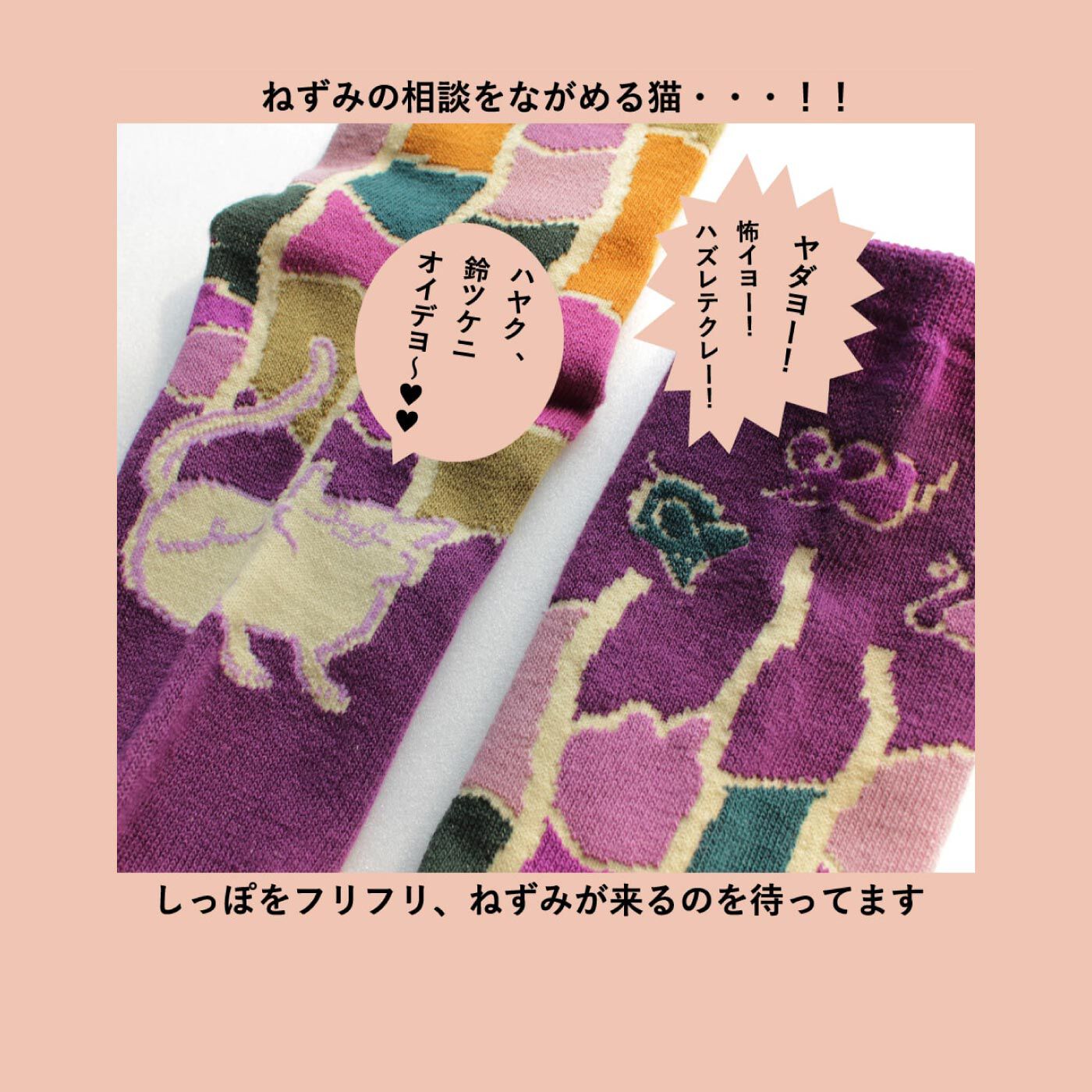FELISSIMO PARTNERS|ストーリーソックス　ねずみの相談