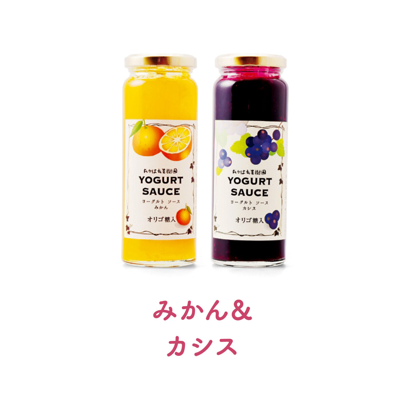 FELISSIMO PARTNERS|毎朝のヨーグルト習慣を応援！ たかはた果樹園ヨーグルトソース オリゴ糖入り2本セットの会（6回予約）