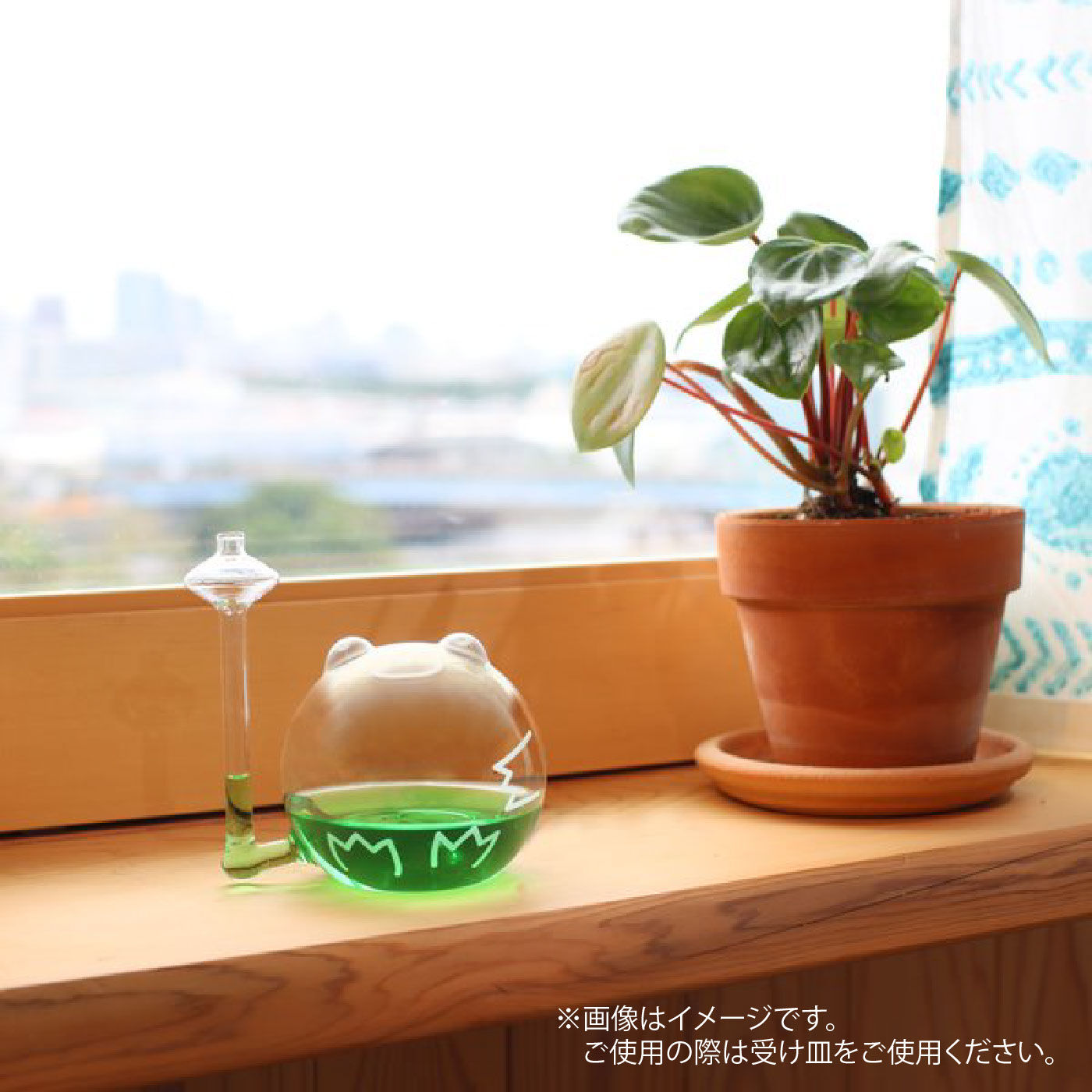 FELISSIMO PARTNERS|雨が降るケロ？　天気を占うフロッグウエザーボール