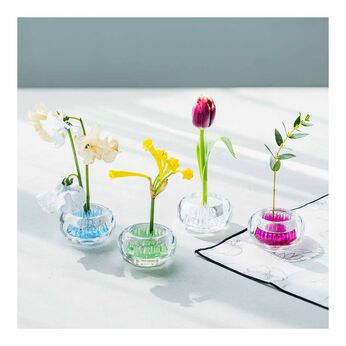FELISSIMO PARTNERS | 花を飾ろう 透明感が美しい 小さな花器〈ミチクサ〉の会（4回予約）