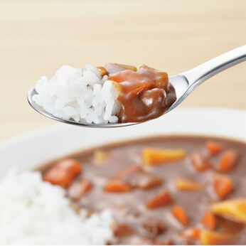 FELISSIMO PARTNERS | 燕熟の技 カレー・チャーハン専用 スプーン 2本セット
