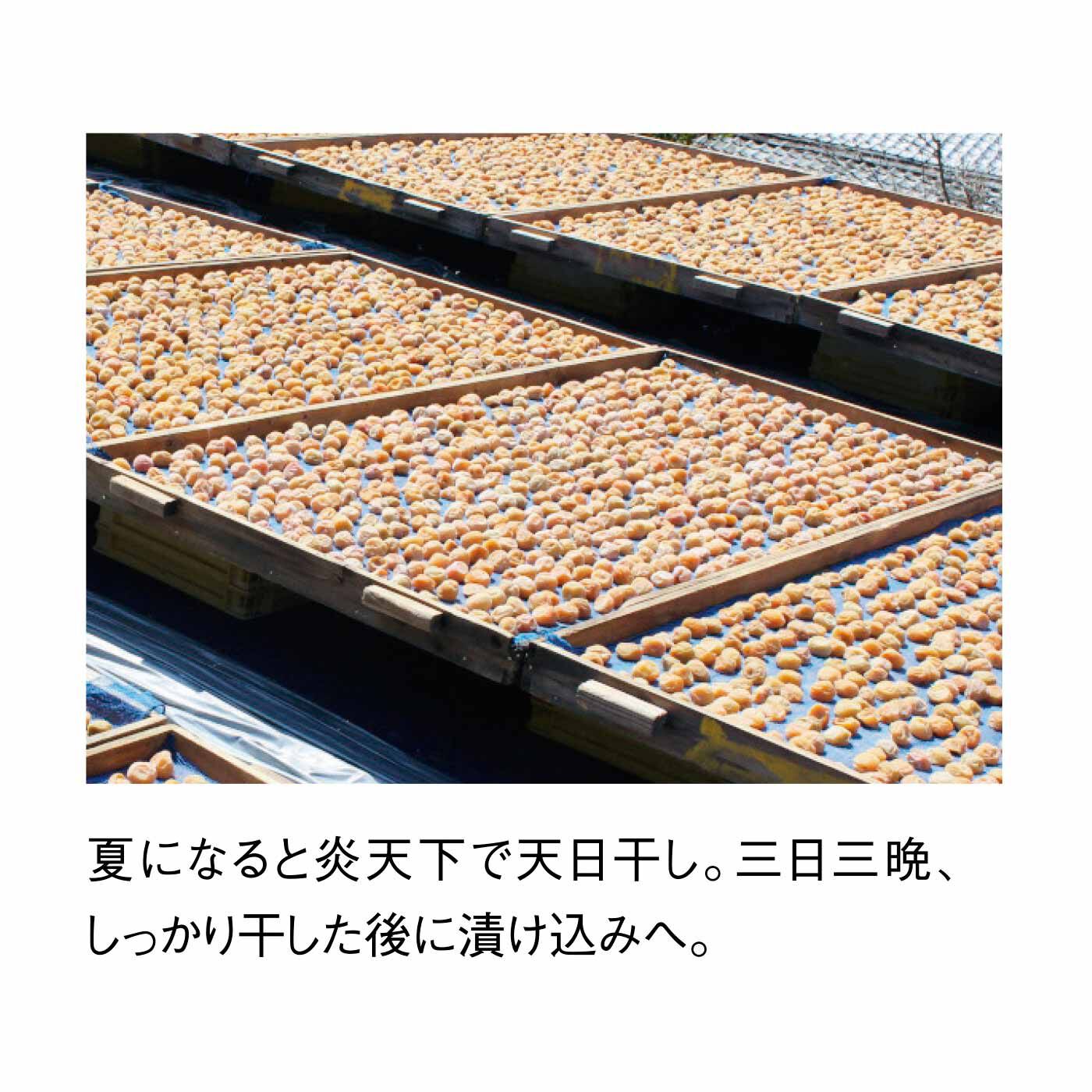 FELISSIMO PARTNERS|農家の梅 夏にうれしい UMEBOSHI（甘軽塩）の会（6回予約）
