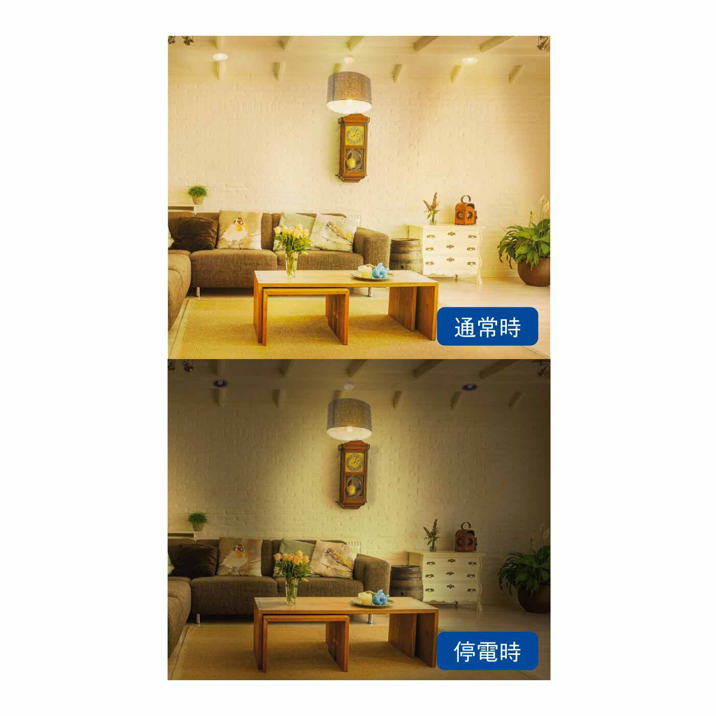 FELISSIMO PARTNERS|停電しても明るいLED電球 燈（あかり）まもるくん|停電時も、まわりを確認できる充分な明るさで約3時間点灯します。 ※自動点灯は、停電時に照明器具のスイッチがONである必要があります。