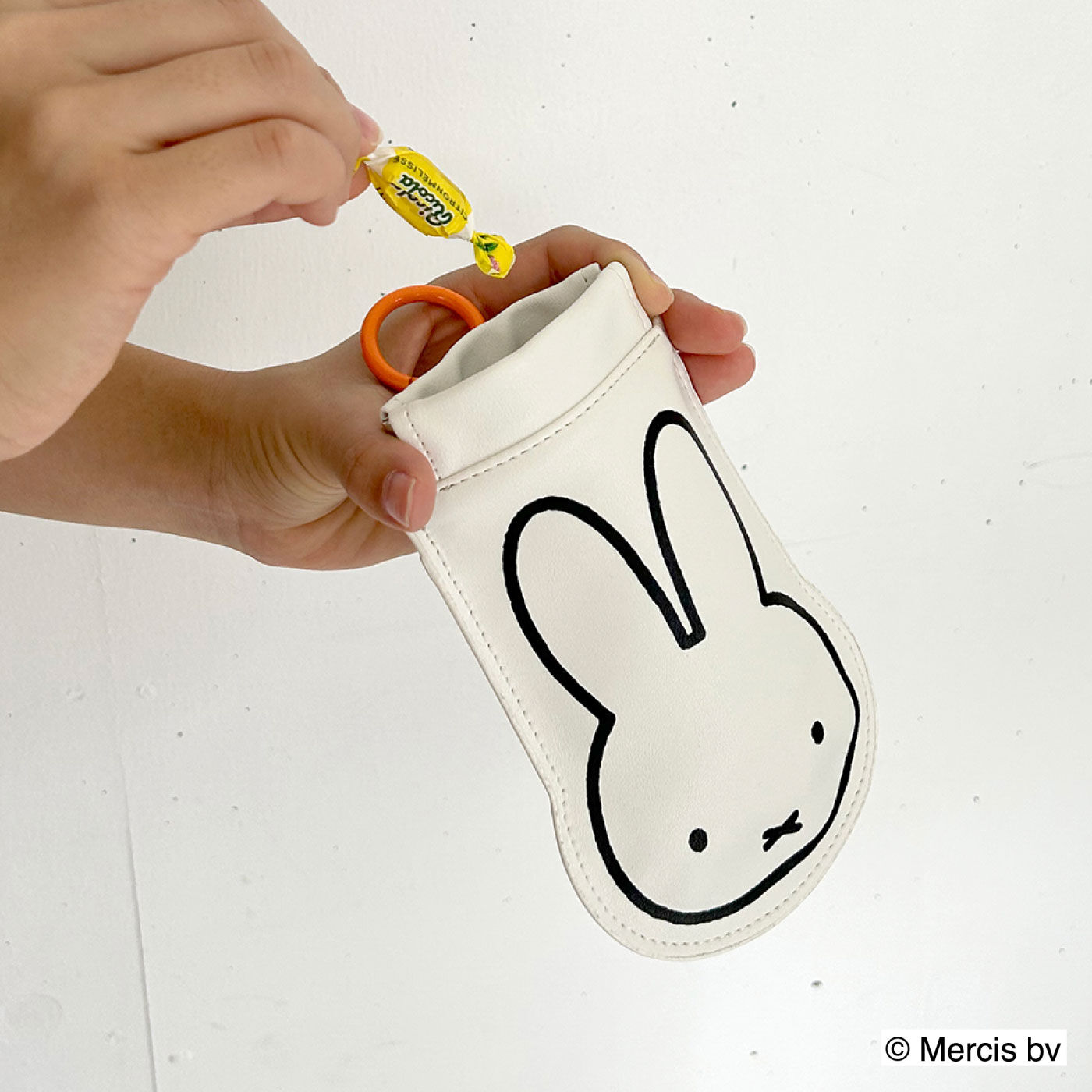 FELISSIMO PARTNERS|Dick Bruna　ポケットみたいなポーチPOYダイカット