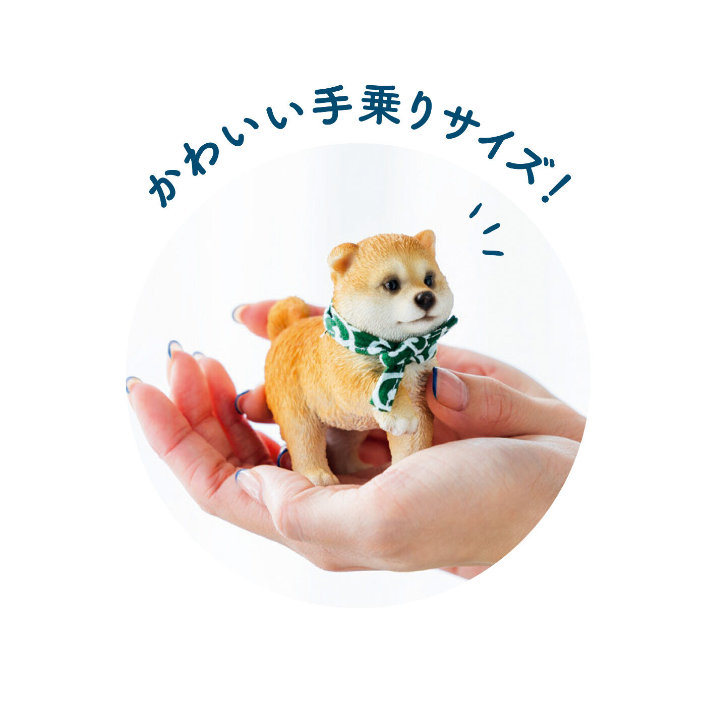 FELISSIMO PARTNERS|WOOBIA（ウービア） ほっこりなごむ 豆しば隊の会（4回予約）