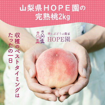FP産地直送マルシェ | ご家庭用 山梨県産 樹上で完熟 HOPE園の白鳳系桃 約2kg