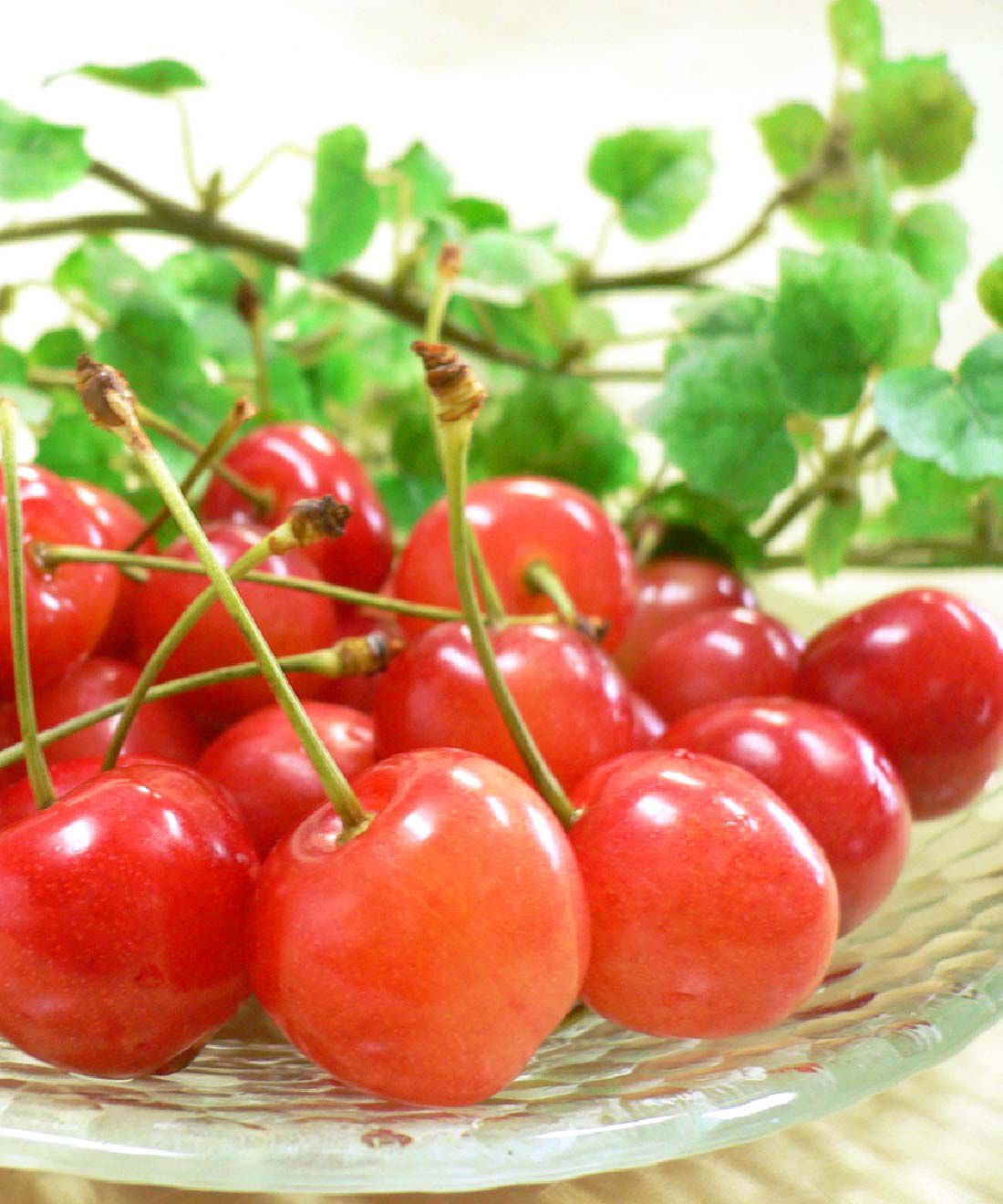FP産地直送マルシェ|【予約限定・締切6月12日】山形・紅秀峰　旬の贅沢を楽しむ500g　1パック