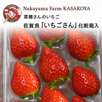 FP産地直送マルシェ | 佐賀県 菜穂さんのいちご 「いちごさん」 2パック 化粧箱入り