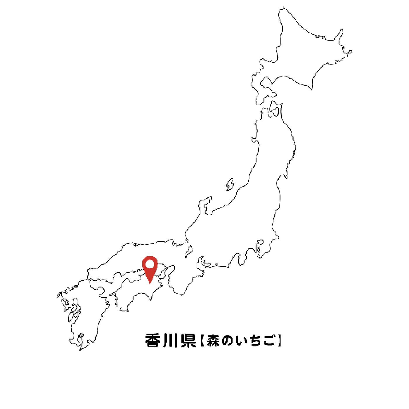 FP産地直送マルシェ|【予約限定・締切5月22日】香川県  森のいちごの「カッチカチいちご〈冷凍さぬき姫〉」400g×3袋