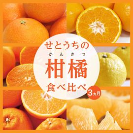 FP産地直送マルシェ | 万田酵素で栽培したせとうち柑橘３ヵ月コース