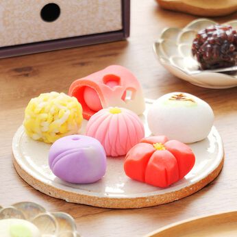 FP産地直送マルシェ | 奈良祥樂 春のしらべ 上生菓子セット 2段ボックス