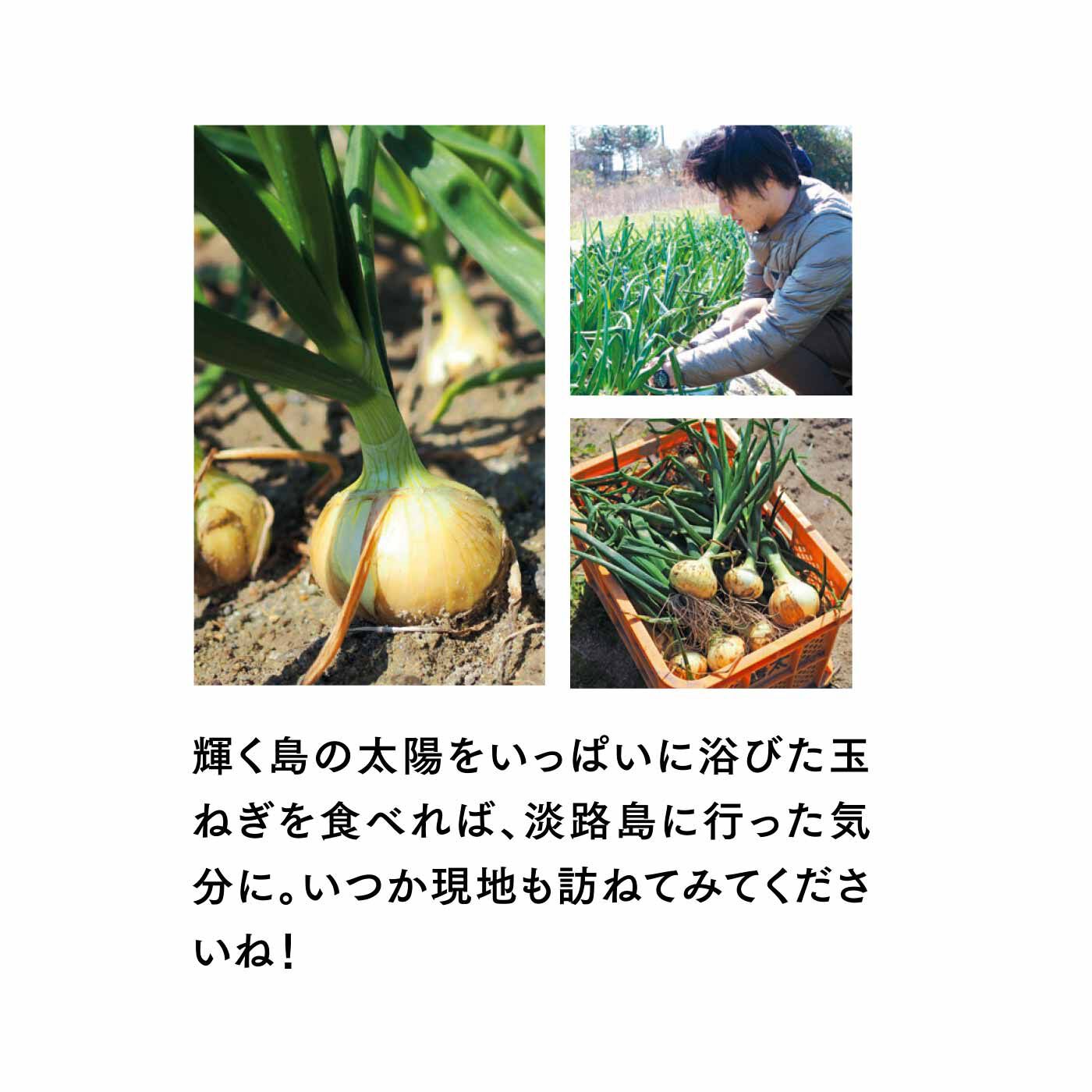 FP産地直送マルシェ|【予約限定・締切6月8日】365日玉ねぎ生活！ 甘くてジューシーな淡路島フルーツ玉ねぎ（R）を存分に楽しむセット（12ヵ月コース）
