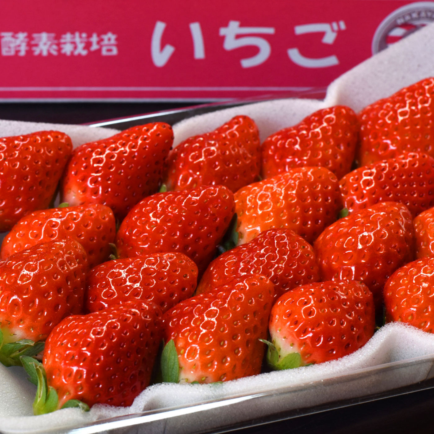 FP産地直送マルシェ|佐賀県　感謝と願いをこめた菜穂さんのいちご「さがほのか」２パック