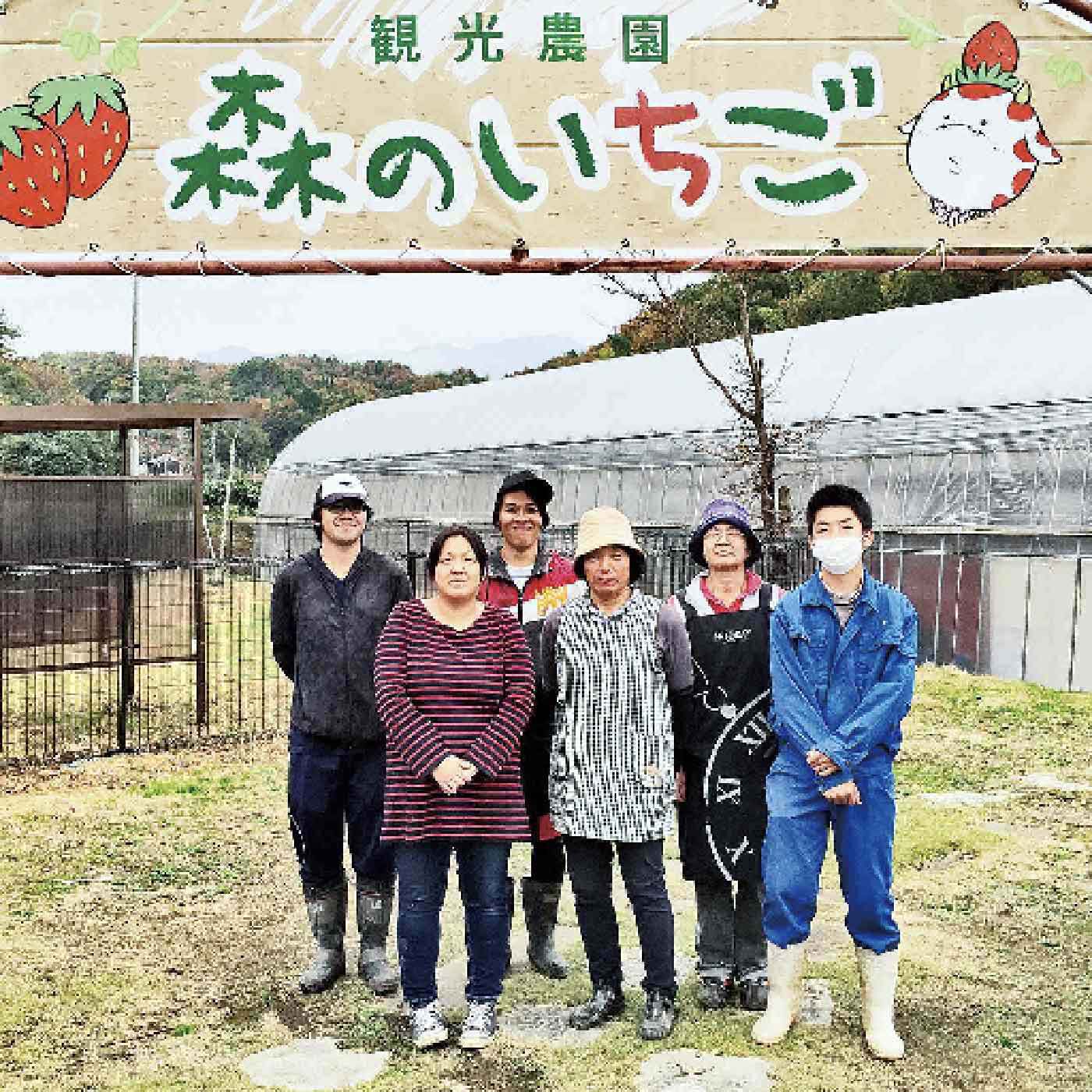 FP産地直送マルシェ|【予約限定・締切5月22日】香川県  森のいちごの「カッチカチいちご〈冷凍さぬき姫〉」400g×3袋