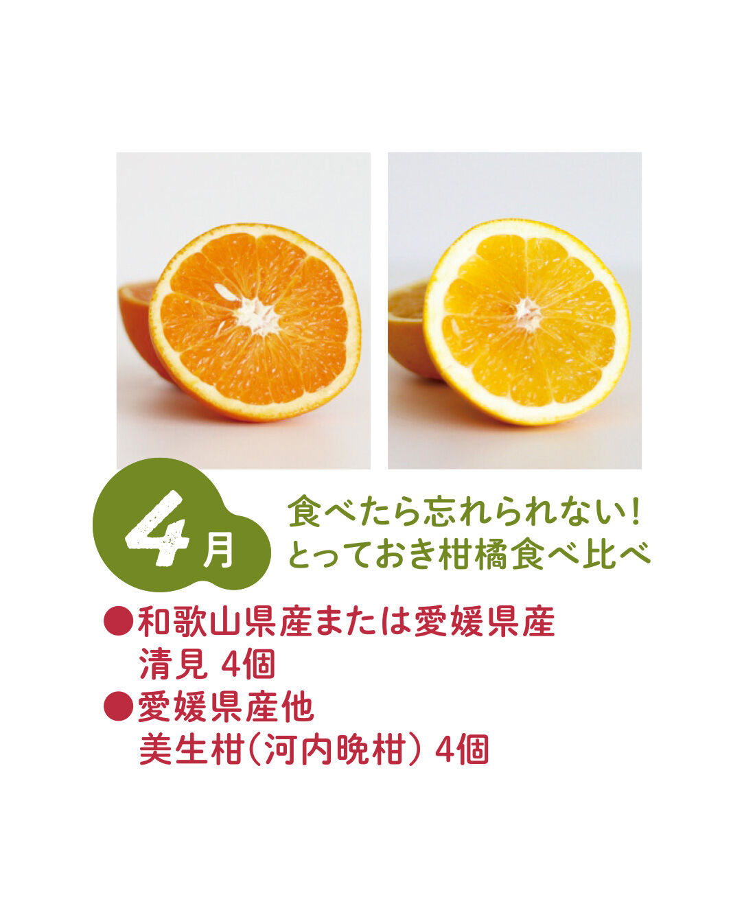 FP産地直送マルシェ|【予約限定・締切8月3日】ベストコンビをたっぷり食べ比べ！ 2種類の旬フルーツ12ヵ月コース|清見はオレンジとみかんの掛け合わせで果汁の甘みが抜群。美生柑はさっぱりとした甘さが感じられます。（4月上旬〜中旬）