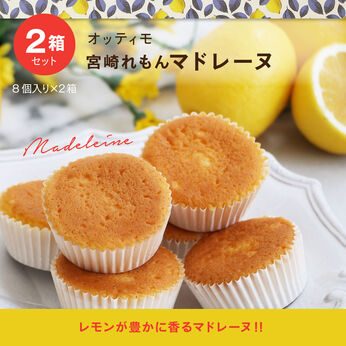 FP産地直送マルシェ | 宮崎 れもん マドレーヌ 8個入り×2箱