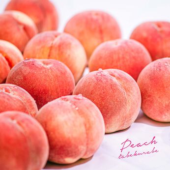 FP産地直送マルシェ | 福島から愛情込めてお届け希少品種桃食べ比べ３ヵ月