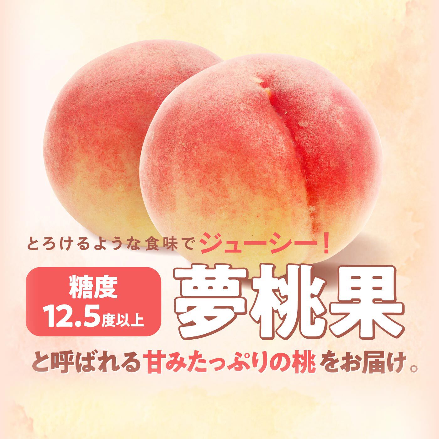 FP産地直送マルシェ|【予約限定・締切7月3日】山梨県産 とろけるような水蜜桃〈夢桃果〉5玉
