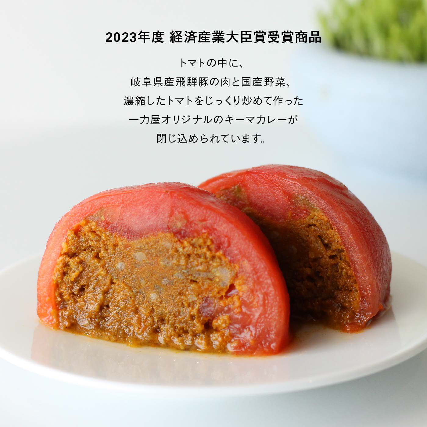FP産地直送マルシェ|【予約限定・締切7月17日】丸ごとトマトのキーマカレー4個セット