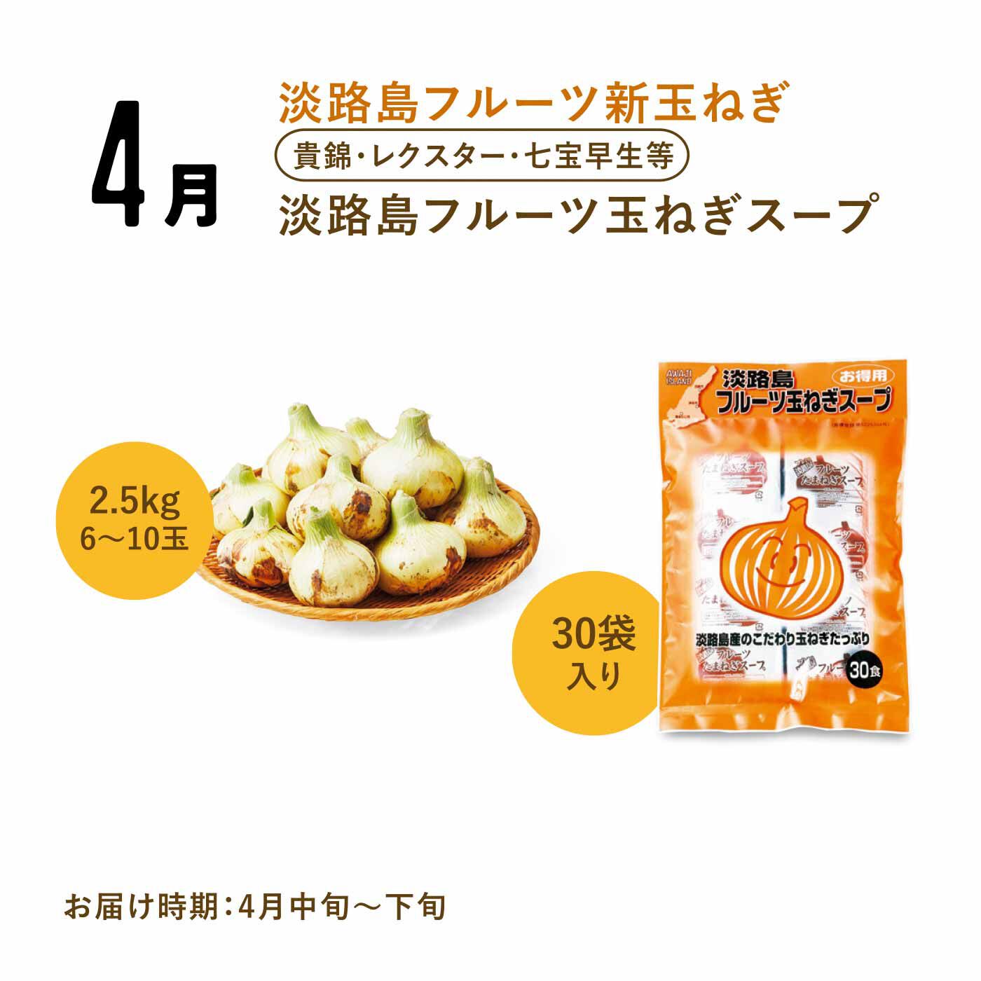 FP産地直送マルシェ|【予約限定・締切6月8日】365日玉ねぎ生活！ 甘くてジューシーな淡路島フルーツ玉ねぎ（R）を存分に楽しむセット（12ヵ月コース）|辛みが少なくジューシーな新玉ねぎと、コンソメタイプの粉末スープのセット。スープは肉じゃがやハンバーグなどの隠し味として使っても◎。