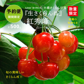 FP産地直送マルシェ | 【数量限定:20セット】大橋さくらんぼ園の 紅秀峰 500g 北海道