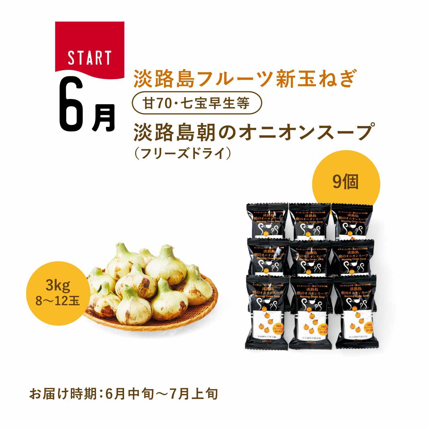 FP産地直送マルシェ|【予約限定・締切6月8日】365日玉ねぎ生活！ 甘くてジューシーな淡路島フルーツ玉ねぎ（R）を存分に楽しむセット（12ヵ月コース）|この時期の新玉ねぎは表面が少し茶色がかり、日持ちも少し長め。フルーツ玉ねぎを使ったスープとセットで。