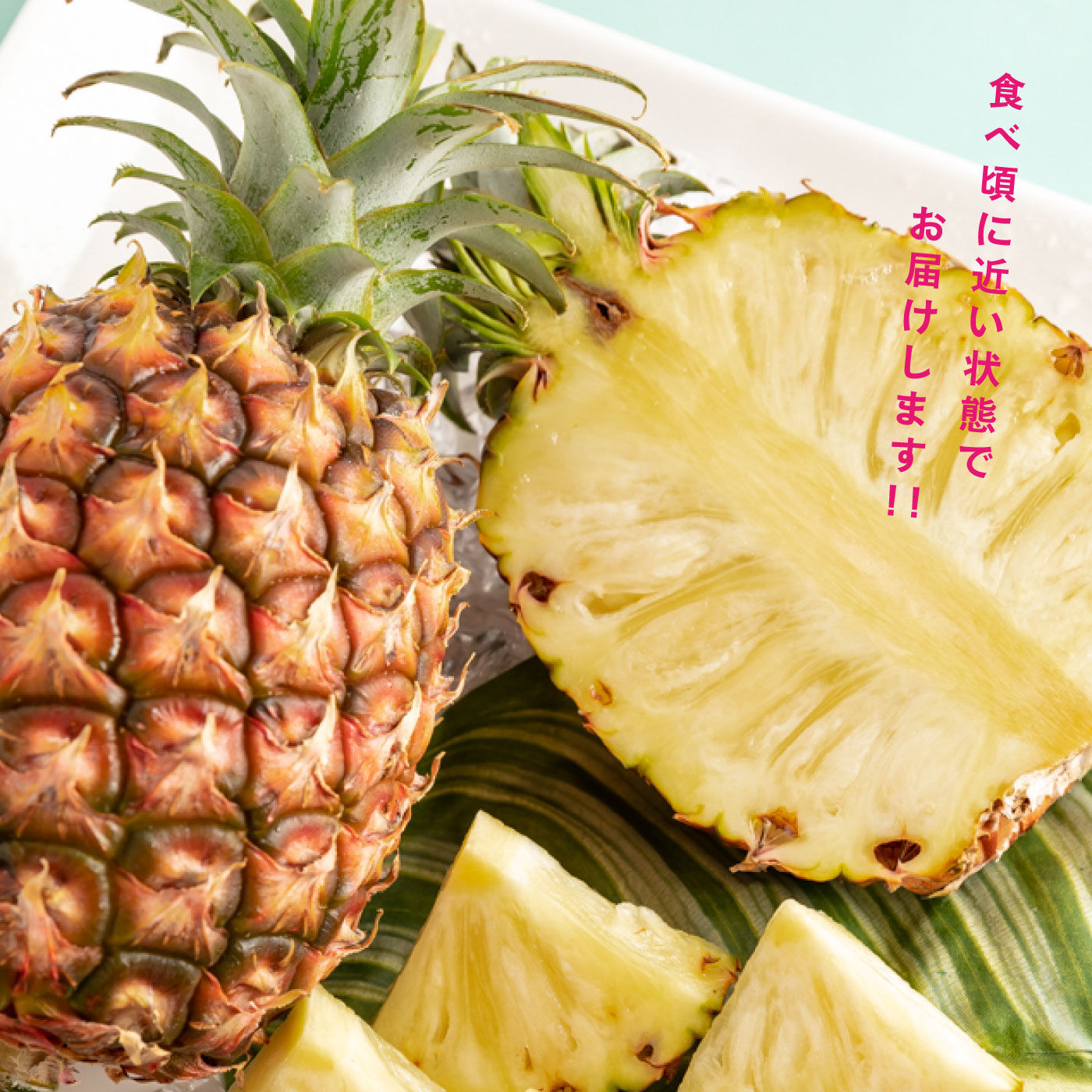 FP産地直送マルシェ|【予約限定・締切5月26日】沖縄の甘い香りをお届け！ピーチパイナップル２個セット