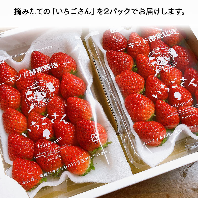FP産地直送マルシェ|佐賀県　感謝と願いをこめた菜穂さんのいちご「いちごさん」２パック
